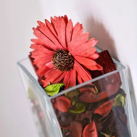 Maison Dora 10 아파트