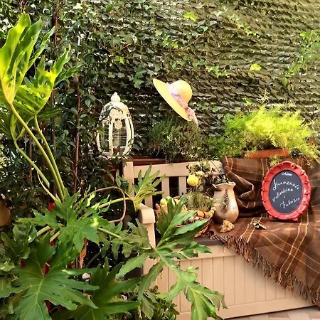 Apartamento Maison Dora 10