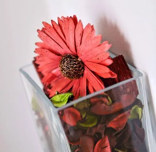 Maison Dora 10 Apartament